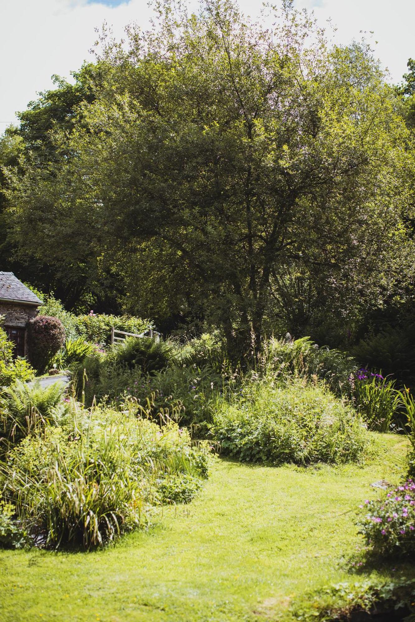 River Cottage, A Luxurious And Cosy Riverside Cottage For Two Welshpool Ngoại thất bức ảnh